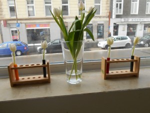 Warten und beobachten Warten und beobachten